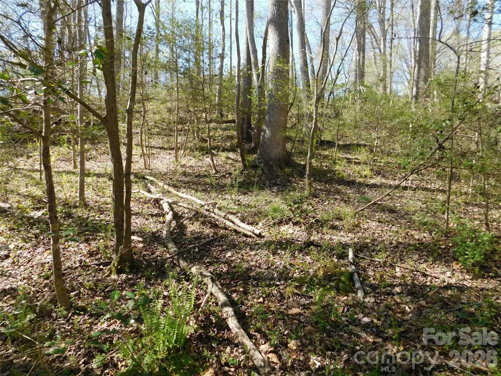 3242 Hwy 73 Highway Iron Station, NC 28080
