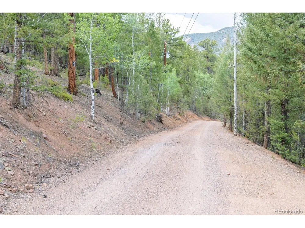 12397 S Cindy Avenue Pine, CO 80470