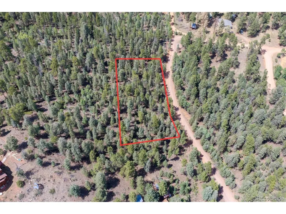12397 S Cindy Avenue Pine, CO 80470