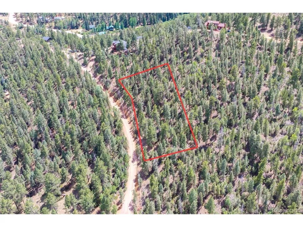 12397 S Cindy Avenue Pine, CO 80470