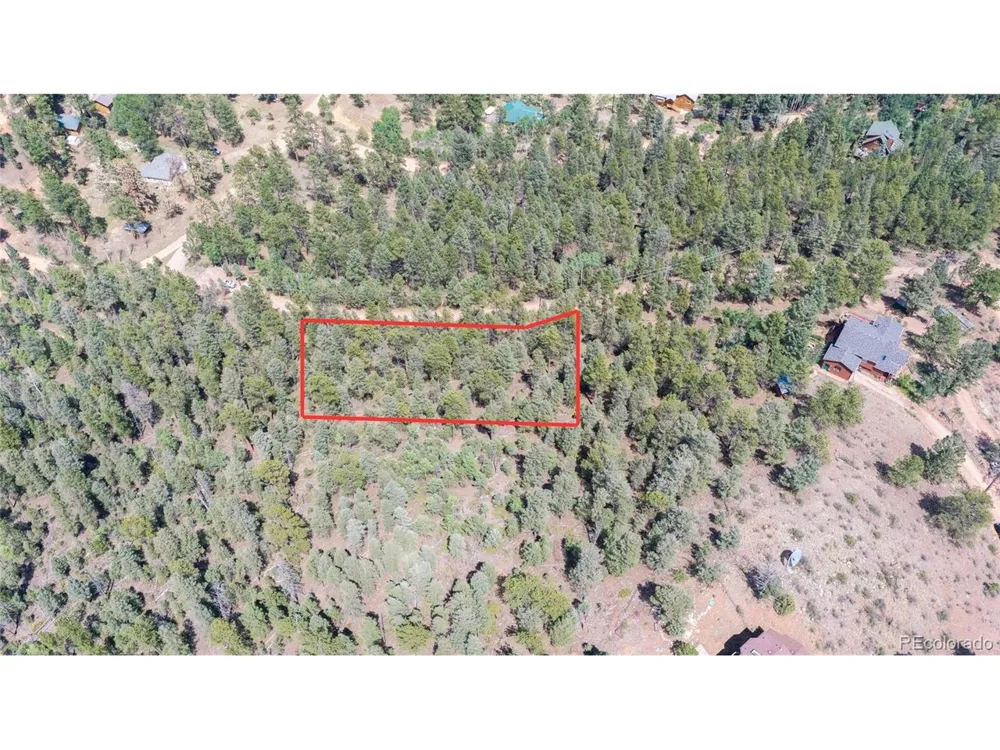 12397 S Cindy Avenue Pine, CO 80470