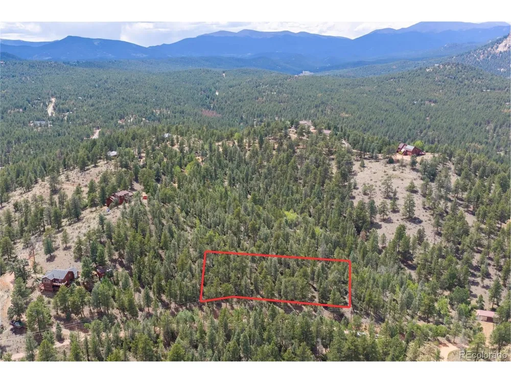 12397 S Cindy Avenue Pine, CO 80470