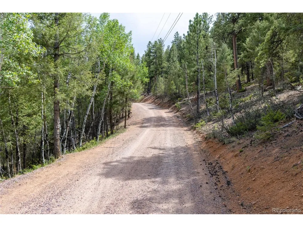 12397 S Cindy Avenue Pine, CO 80470