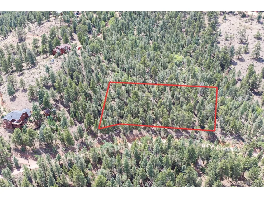 12397 S Cindy Avenue Pine, CO 80470