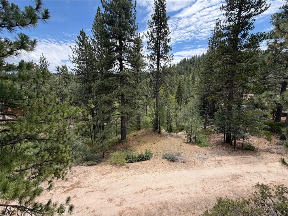 32715 Willow Running Springs, CA 92382