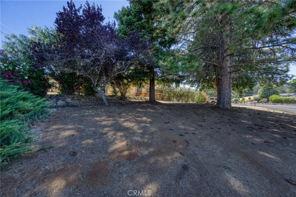 10710 Sunset Ridge Kelseyville, CA 95451