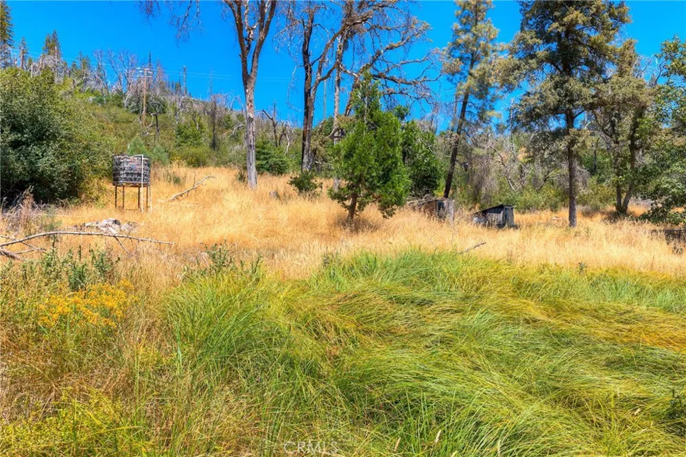 28 He Le Ve Berry Creek, CA 95916