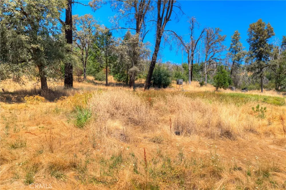 28 He Le Ve Berry Creek, CA 95916