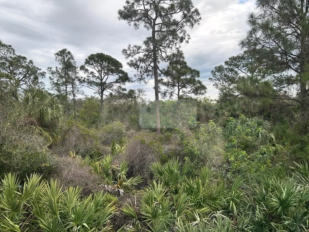 791 NE Trailside Run Port St. Lucie, FL 34983