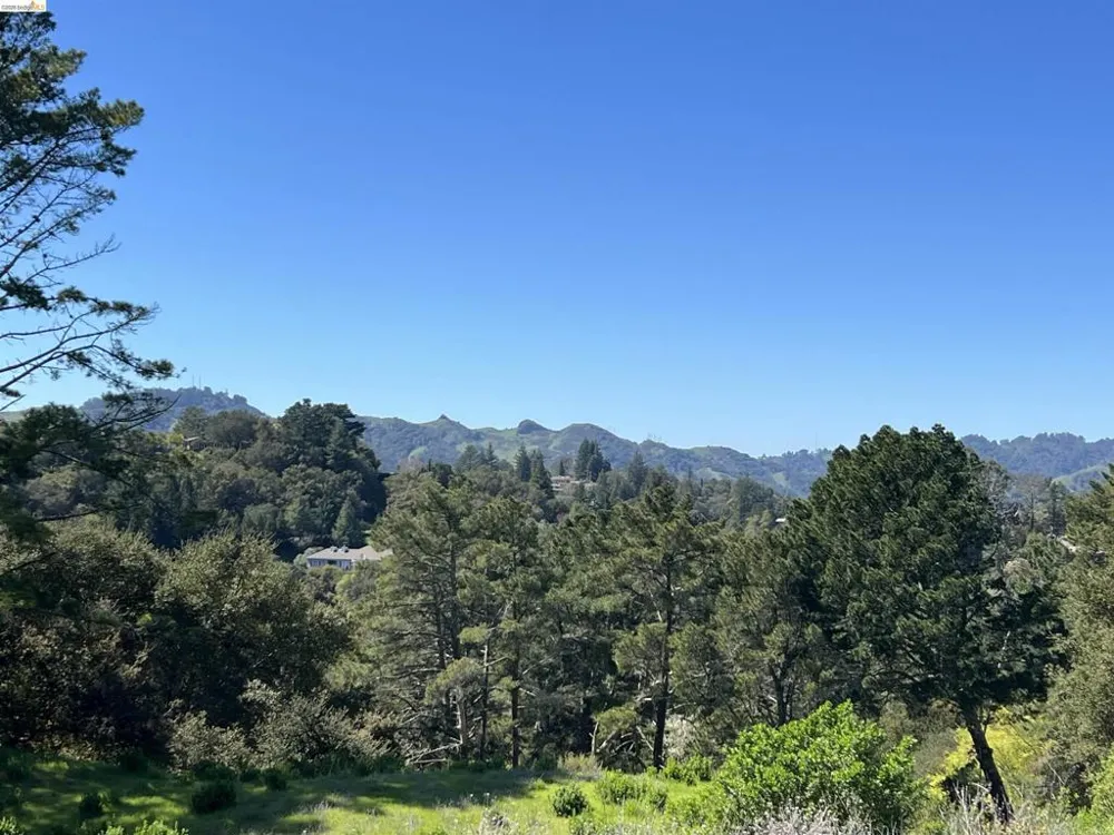 82 Zander Dr Orinda, CA 94563