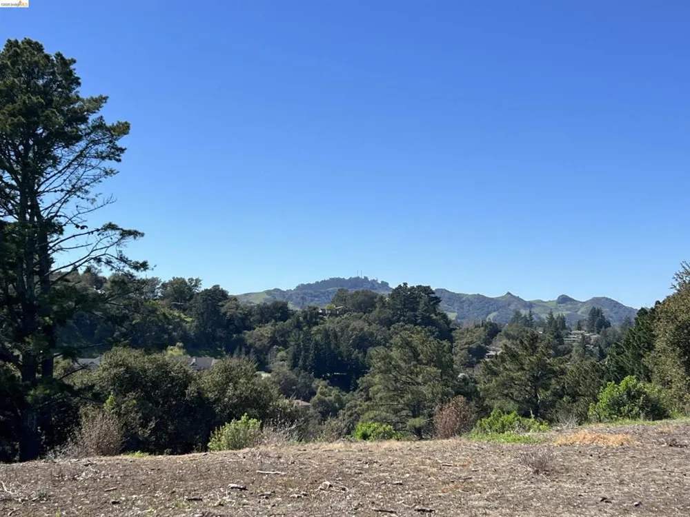 82 Zander Dr Orinda, CA 94563