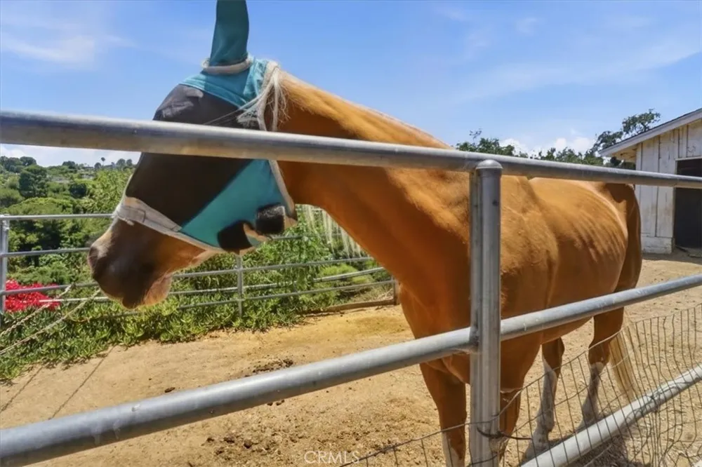 41 Hitching Post Palos Verdes Peninsula, CA 90274