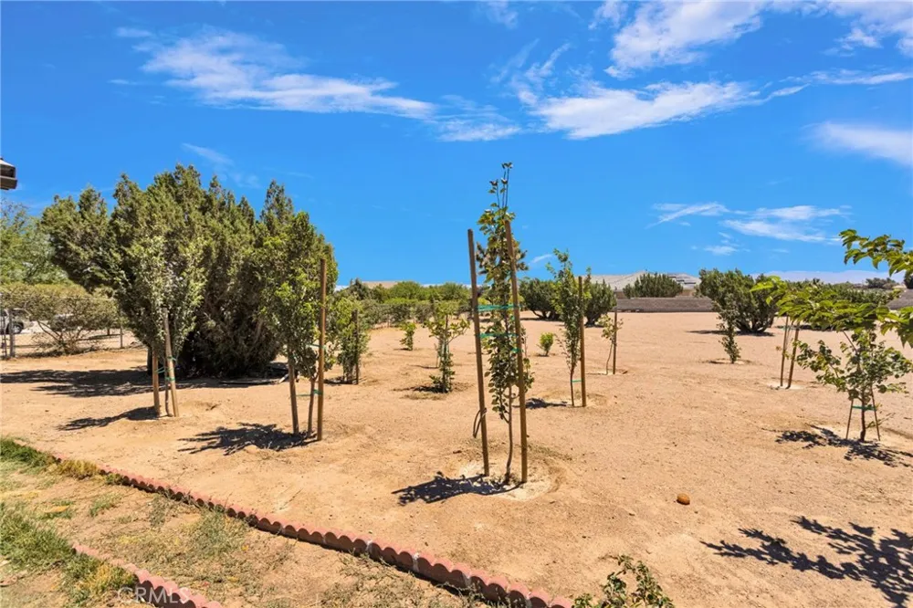 9879 Silver Palm Drive Oak Hills, CA 92344
