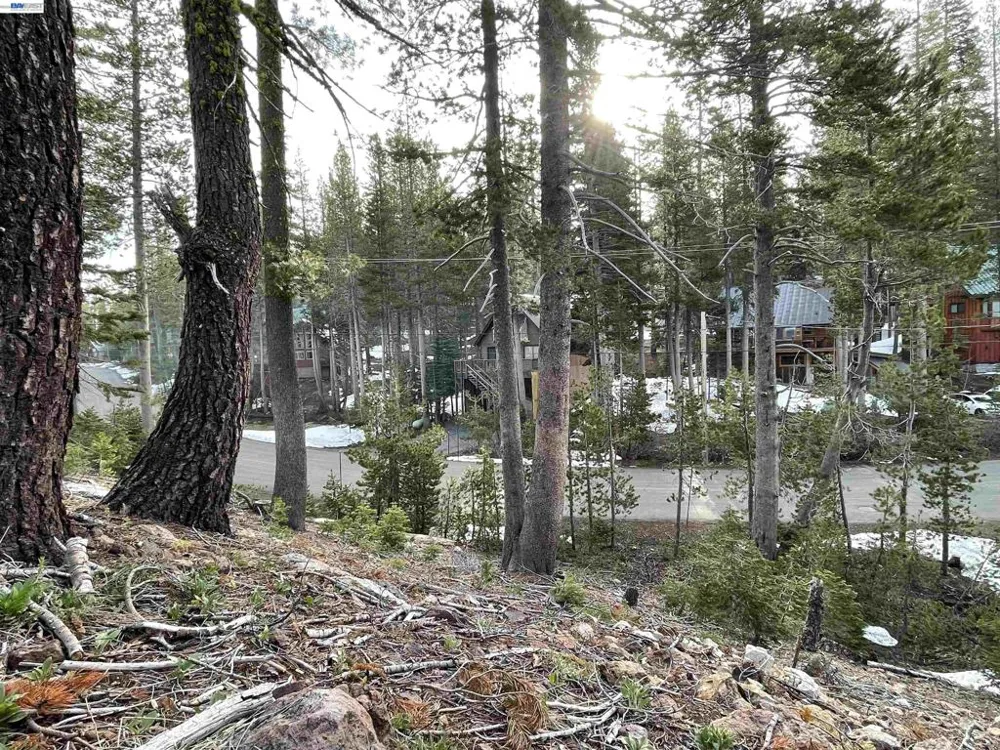 7217 Palisade Road Soda Springs, CA 95728