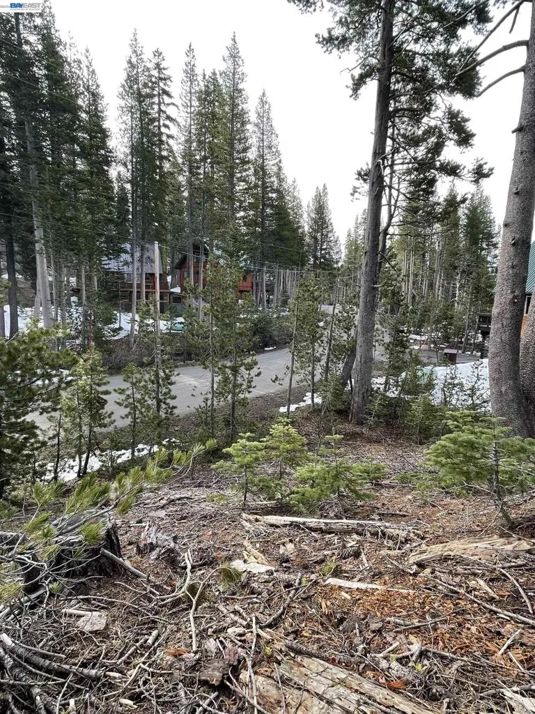 7217 Palisade Road Soda Springs, CA 95728