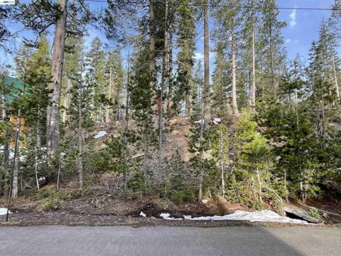7217 Palisade Road