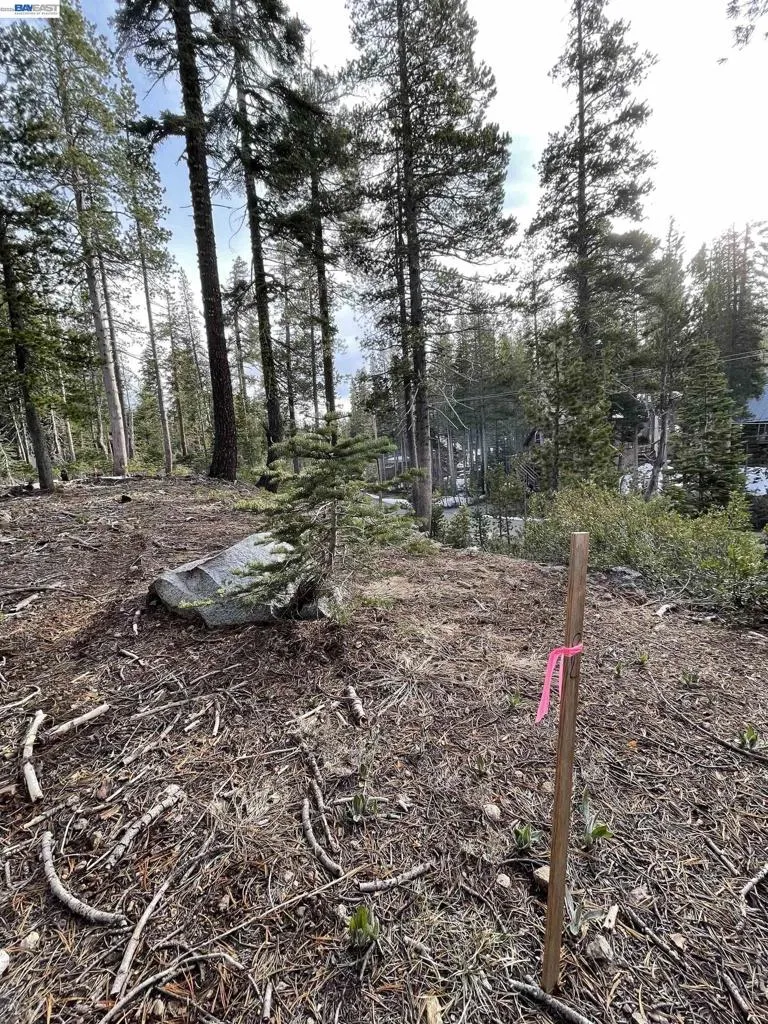 7217 Palisade Road Soda Springs, CA 95728