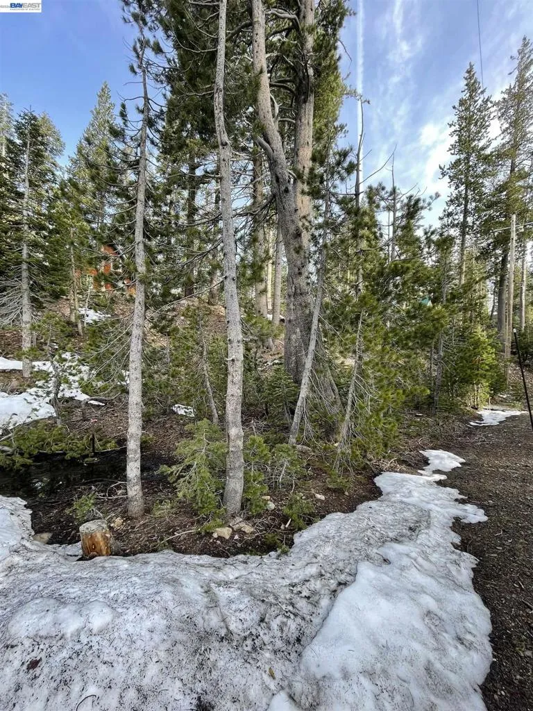 7217 Palisade Road Soda Springs, CA 95728