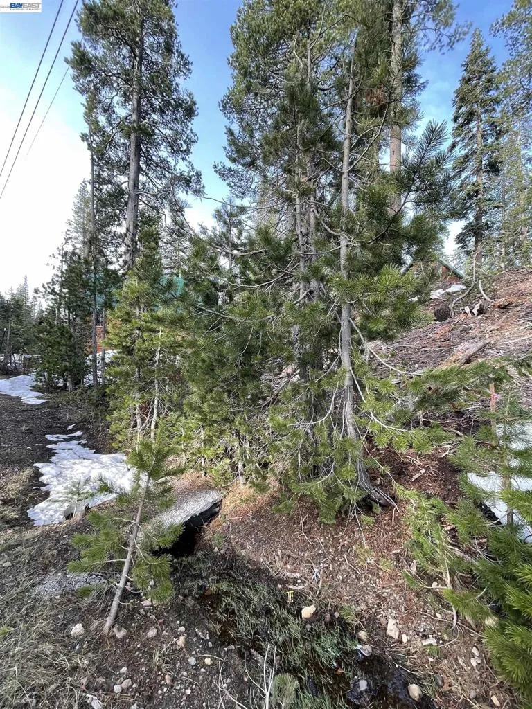 7217 Palisade Road Soda Springs, CA 95728