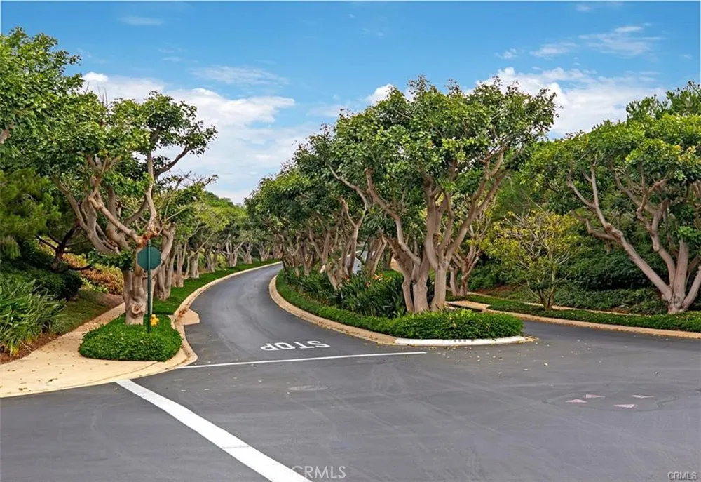 4 Baffin bay Newport Coast, CA 92657