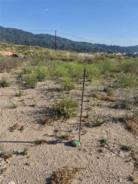 2833028006