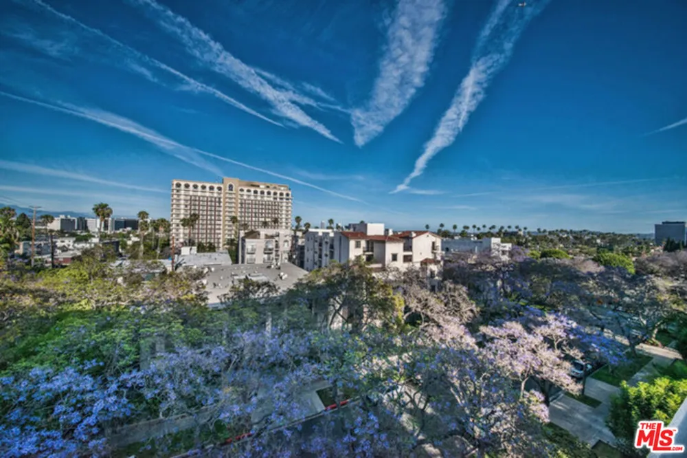 325 Oakhurst Drive #PH2 Beverly Hills, CA 90210