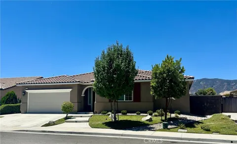 29209 Catalpa