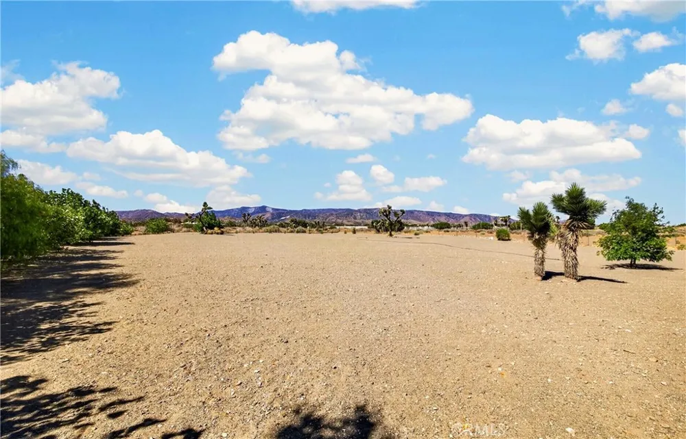 10624 Nugget Phelan, CA 92371