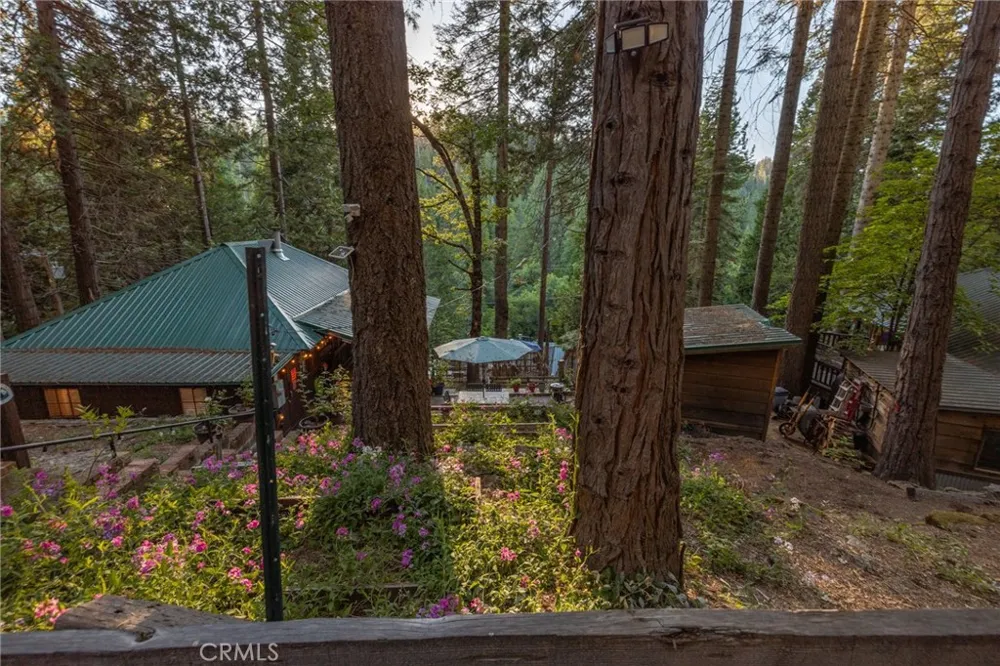 49988 Locust Oakhurst, CA 93644