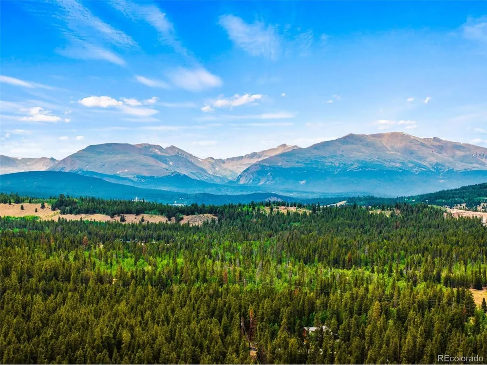 163 Meadow View Lane Fairplay, CO 80440