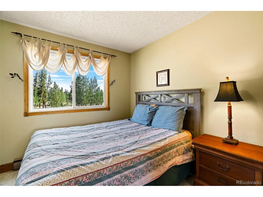163 Meadow View Lane Fairplay, CO 80440