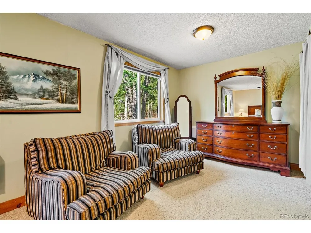 163 Meadow View Lane Fairplay, CO 80440