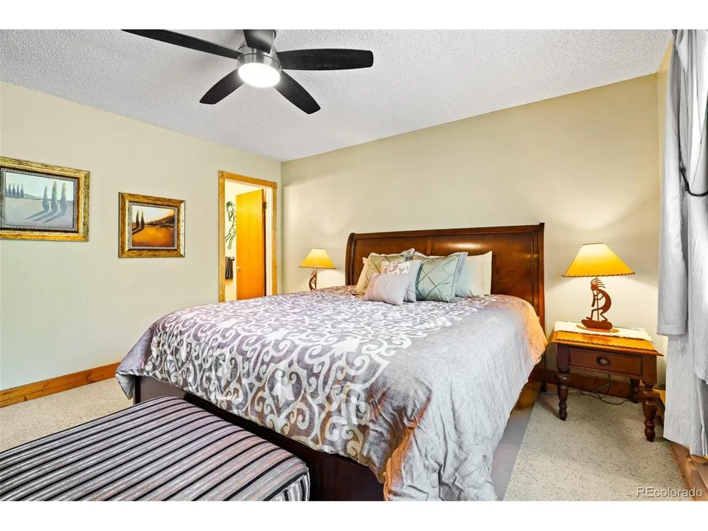 163 Meadow View Lane Fairplay, CO 80440