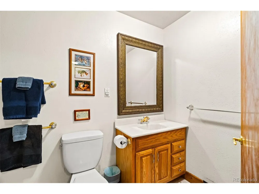 163 Meadow View Lane Fairplay, CO 80440