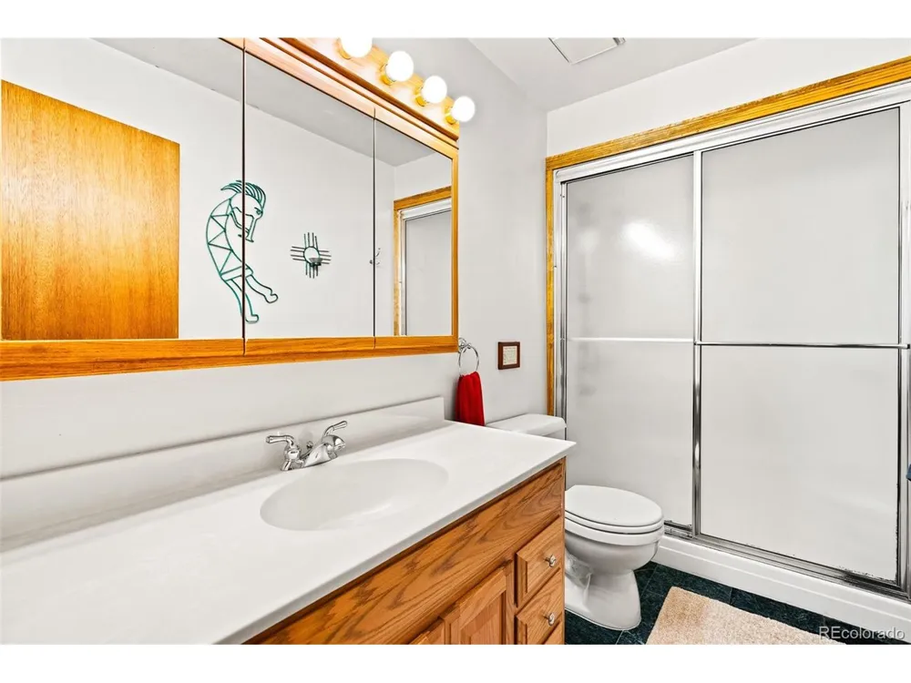 163 Meadow View Lane Fairplay, CO 80440
