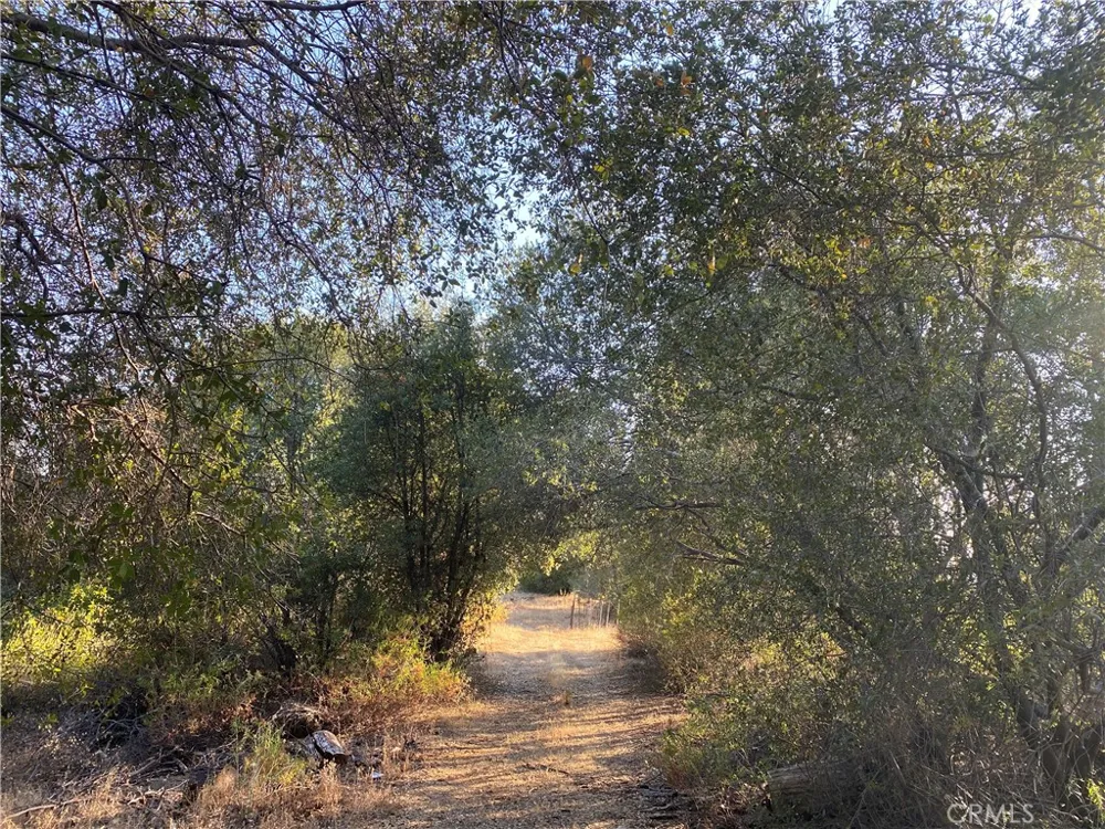 53748 Dogwood North Fork, CA 93643
