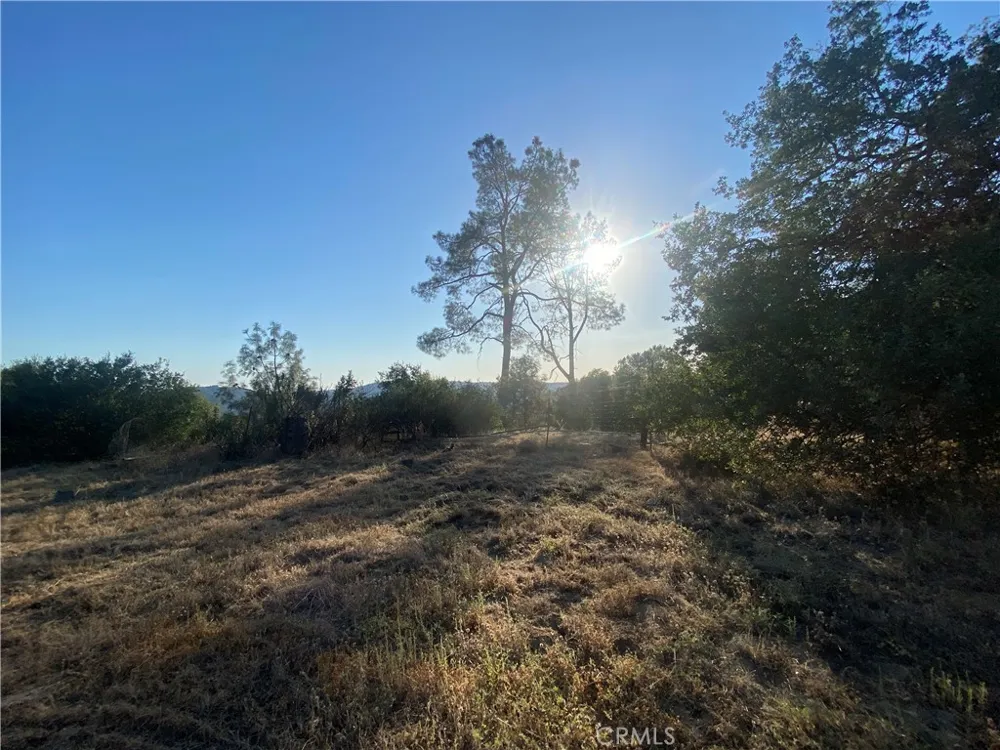 53748 Dogwood North Fork, CA 93643