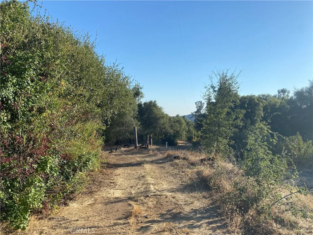 53748 Dogwood North Fork, CA 93643