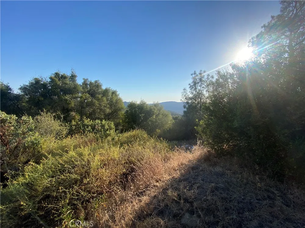 53748 Dogwood North Fork, CA 93643