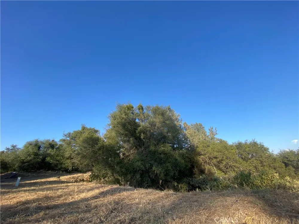 53748 Dogwood North Fork, CA 93643