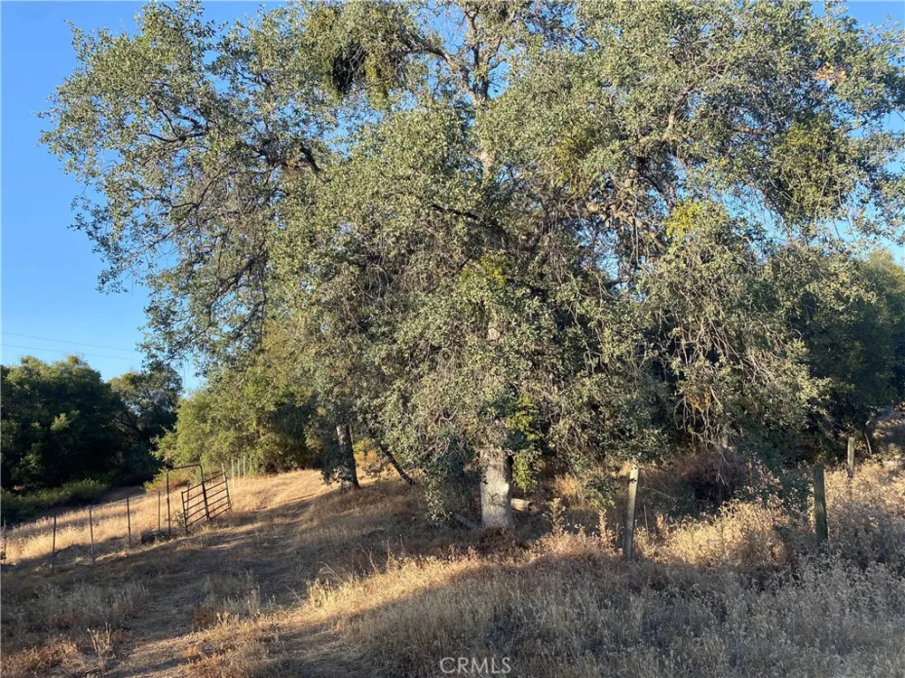 53748 Dogwood North Fork, CA 93643