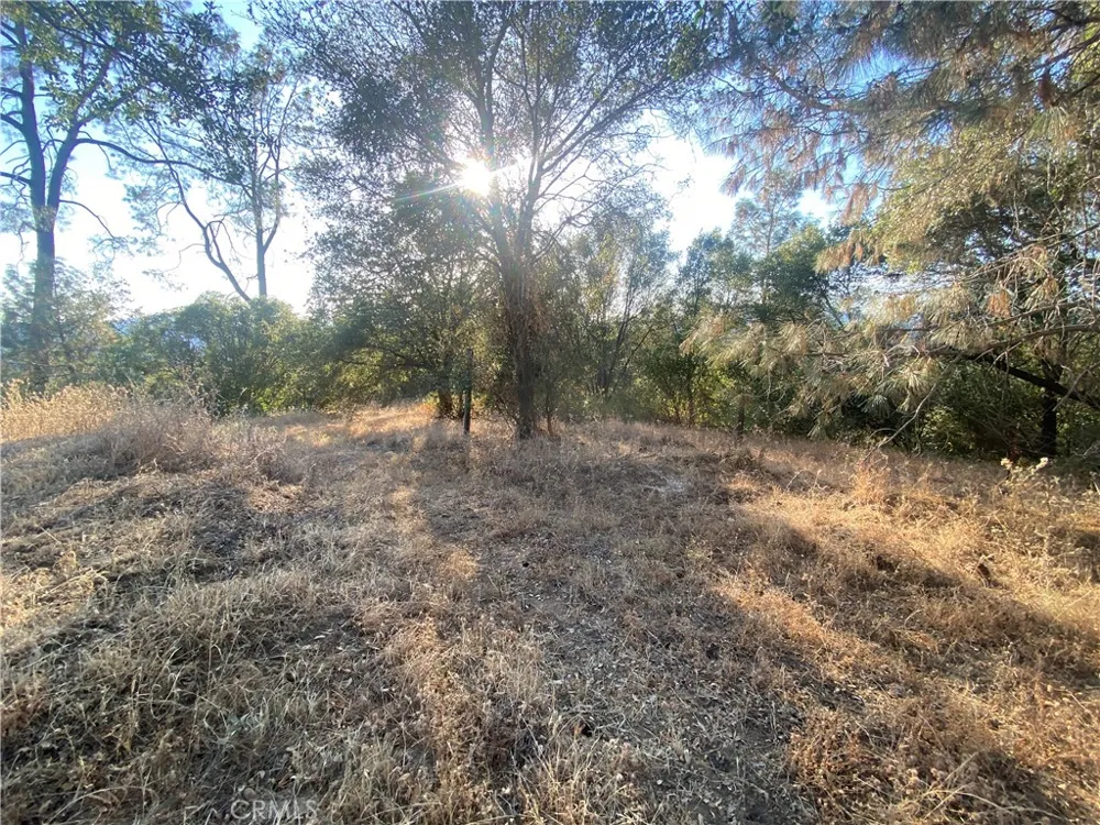 53748 Dogwood North Fork, CA 93643