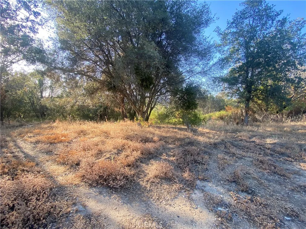 53748 Dogwood North Fork, CA 93643