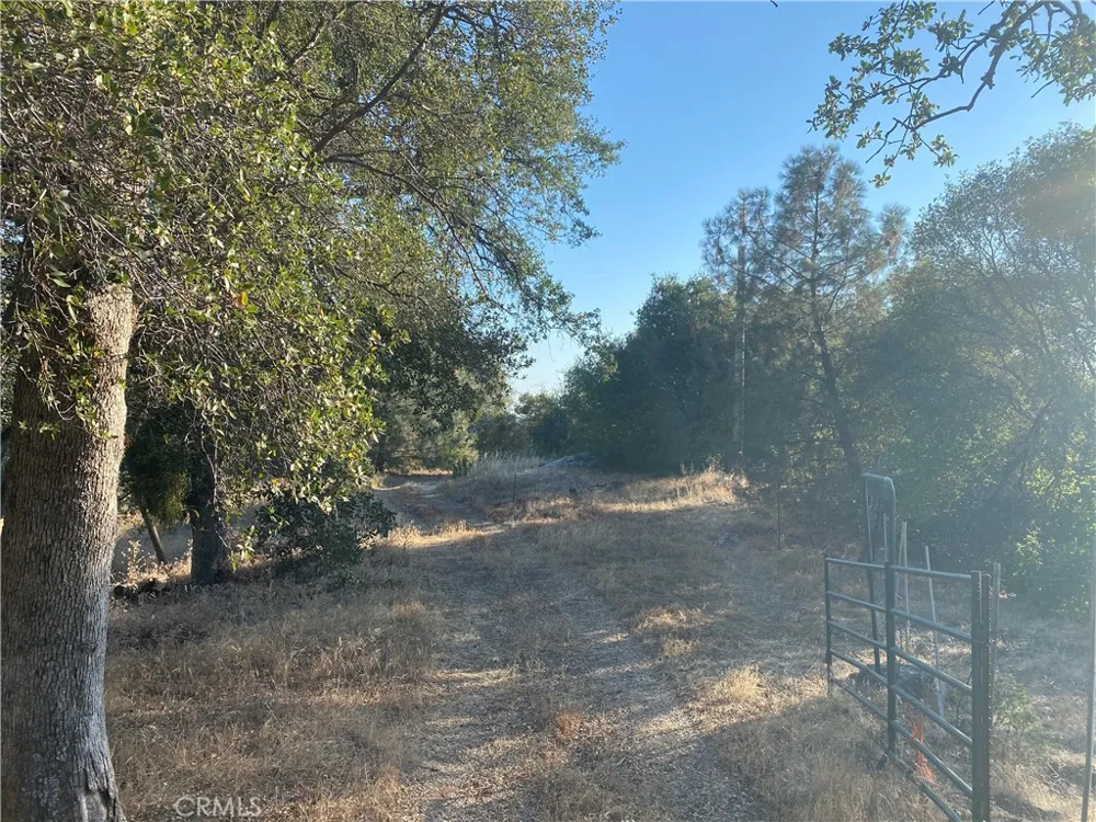 53748 Dogwood North Fork, CA 93643