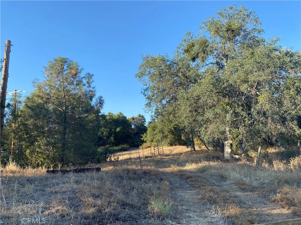 53748 Dogwood North Fork, CA 93643