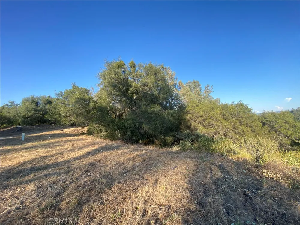 53748 Dogwood North Fork, CA 93643