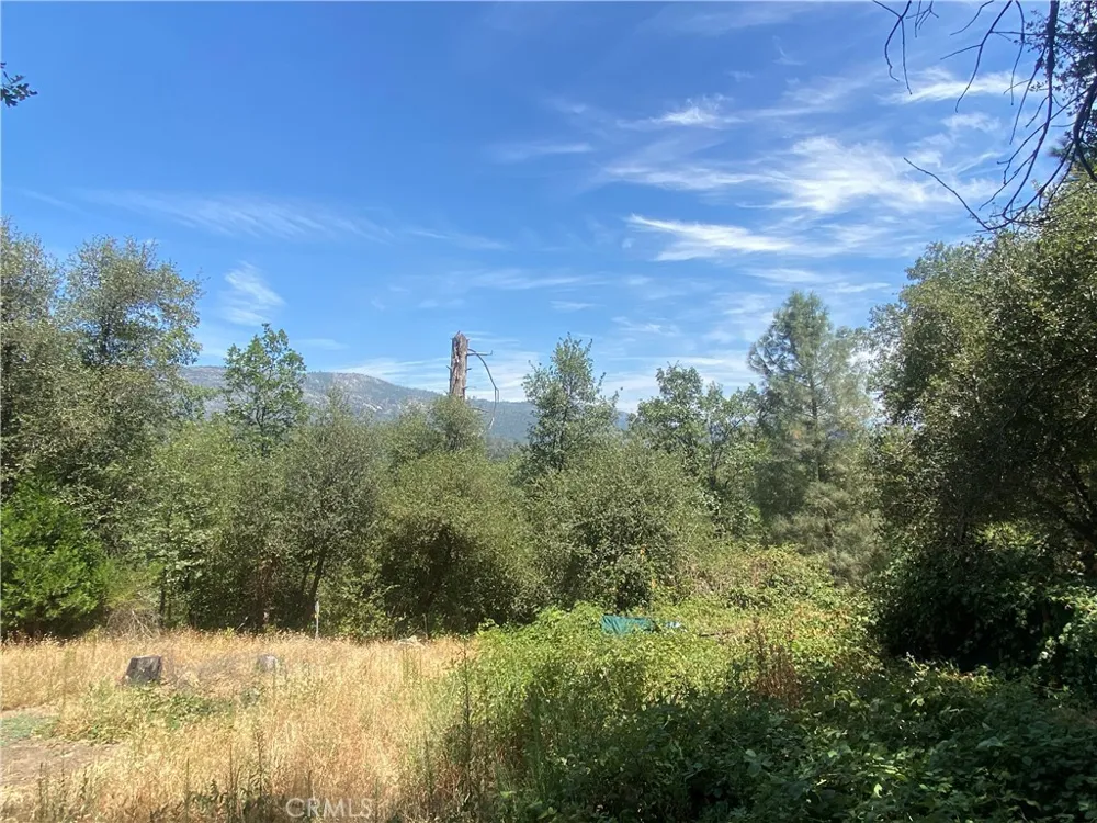 35995 Sierra Linda Wishon, CA 93669