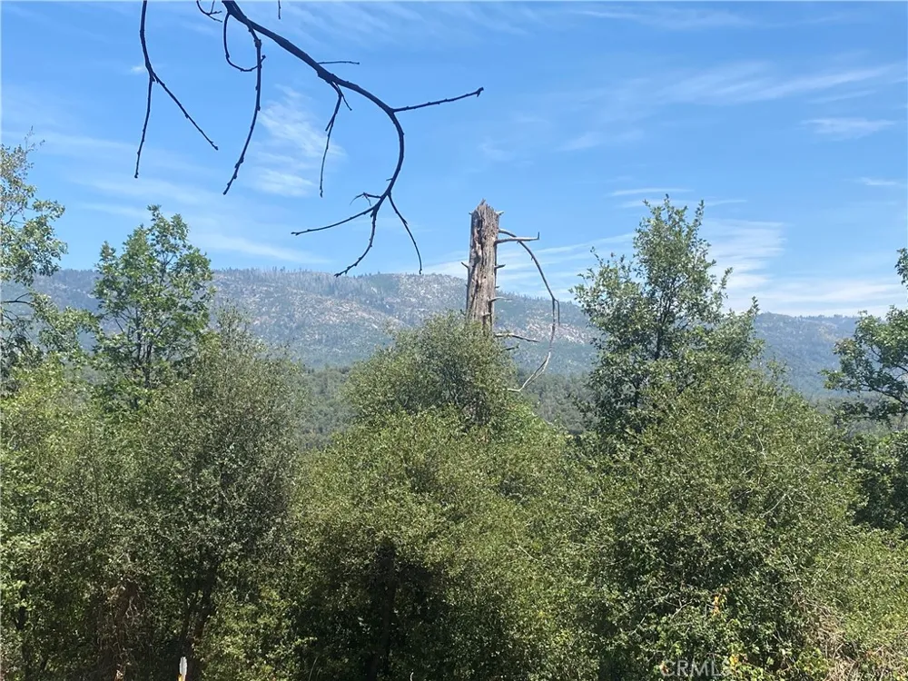 35995 Sierra Linda Wishon, CA 93669