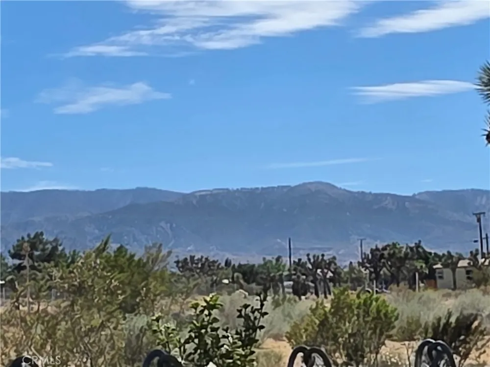 11380 El Esteban Phelan, CA 92371