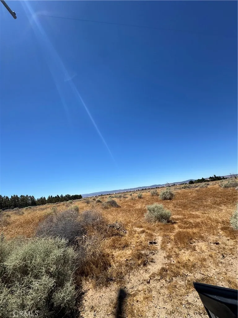 83 Stw Antelope Acres, CA 93536